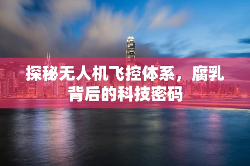 探秘无人机飞控体系，腐乳背后的科技密码