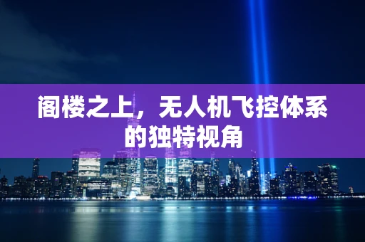阁楼之上，无人机飞控体系的独特视角