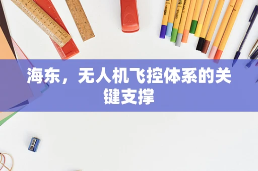 海东，无人机飞控体系的关键支撑