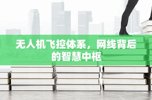 无人机飞控体系，网线背后的智慧中枢