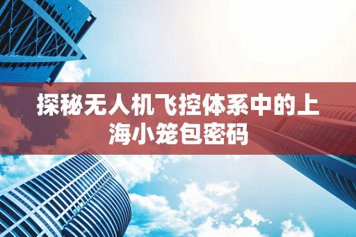 探秘无人机飞控体系中的上海小笼包密码