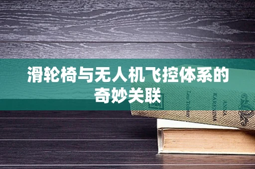 滑轮椅与无人机飞控体系的奇妙关联