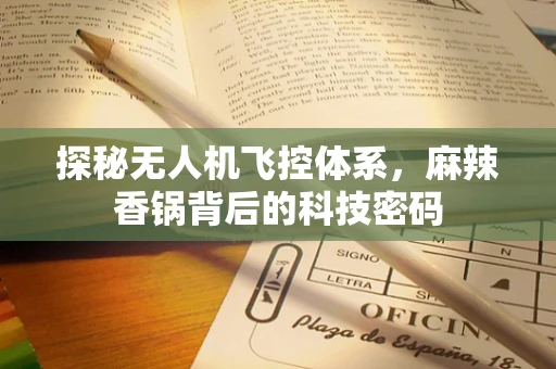 探秘无人机飞控体系，麻辣香锅背后的科技密码