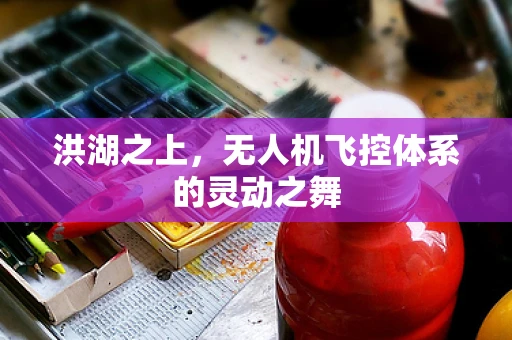 洪湖之上，无人机飞控体系的灵动之舞