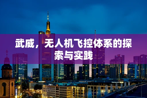 武威，无人机飞控体系的探索与实践