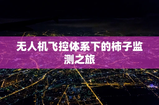 无人机飞控体系下的柿子监测之旅