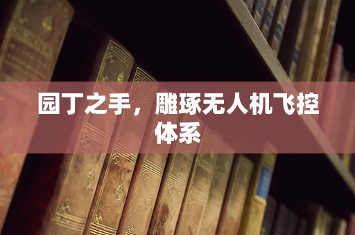 园丁之手，雕琢无人机飞控体系