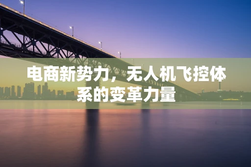 电商新势力，无人机飞控体系的变革力量