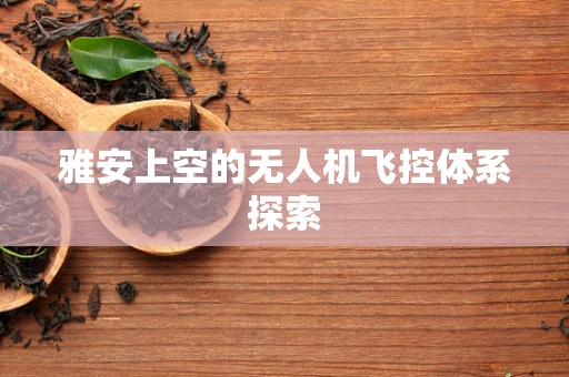 雅安上空的无人机飞控体系探索
