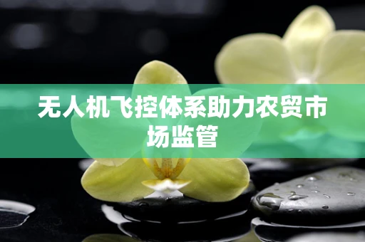 无人机飞控体系助力农贸市场监管