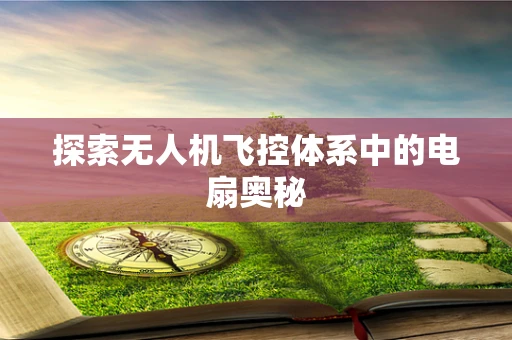 探索无人机飞控体系中的电扇奥秘