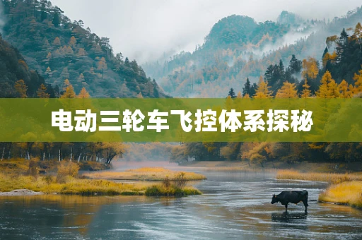 电动三轮车飞控体系探秘