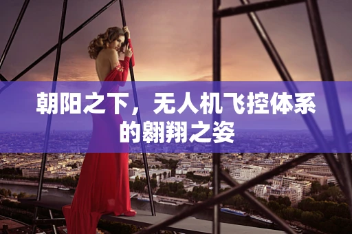 朝阳之下，无人机飞控体系的翱翔之姿