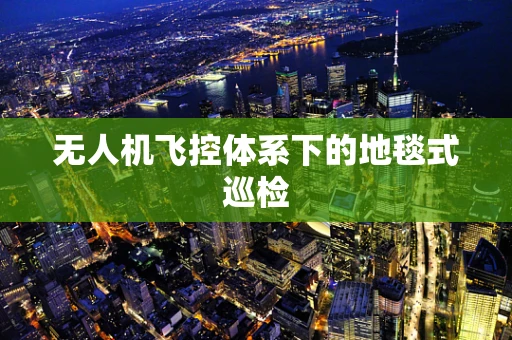 无人机飞控体系下的地毯式巡检