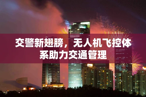 交警新翅膀，无人机飞控体系助力交通管理