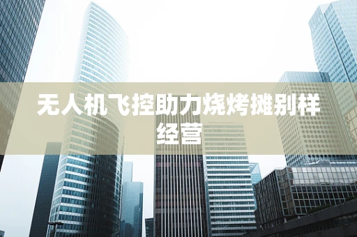 无人机飞控助力烧烤摊别样经营