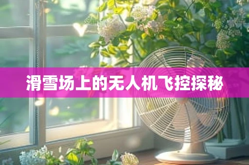 滑雪场上的无人机飞控探秘