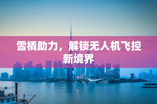 雪橇助力，解锁无人机飞控新境界