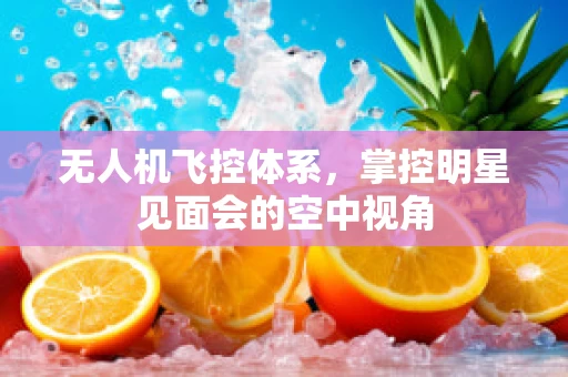 无人机飞控体系，掌控明星见面会的空中视角