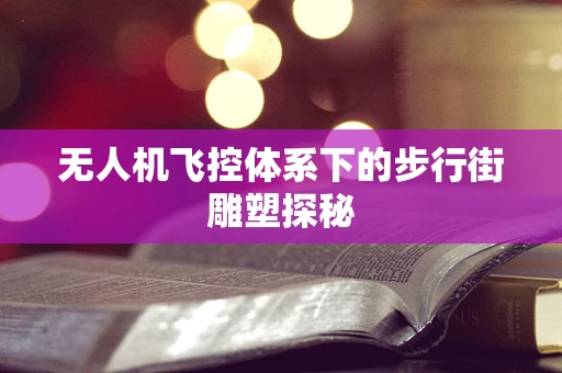 无人机飞控体系下的步行街雕塑探秘