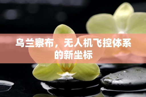 乌兰察布，无人机飞控体系的新坐标