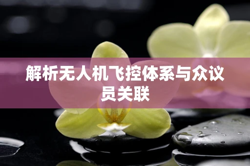 解析无人机飞控体系与众议员关联