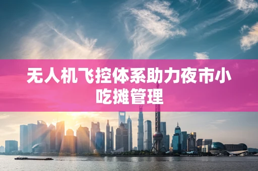 无人机飞控体系助力夜市小吃摊管理