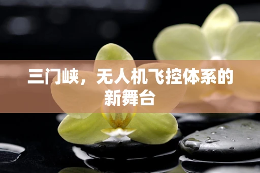 三门峡，无人机飞控体系的新舞台