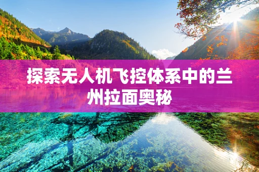 探索无人机飞控体系中的兰州拉面奥秘