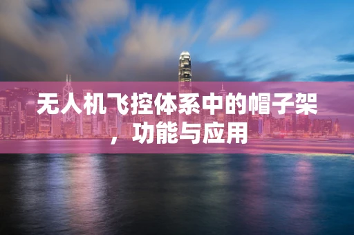 无人机飞控体系中的帽子架，功能与应用