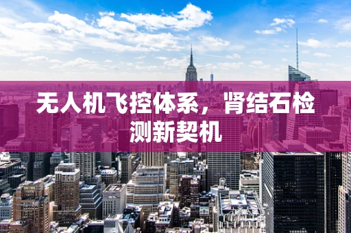 无人机飞控体系，肾结石检测新契机