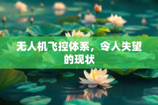 无人机飞控体系，令人失望的现状