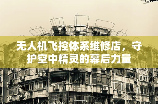 无人机飞控体系维修店，守护空中精灵的幕后力量