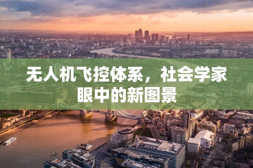 无人机飞控体系，社会学家眼中的新图景