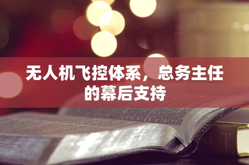 无人机飞控体系，总务主任的幕后支持