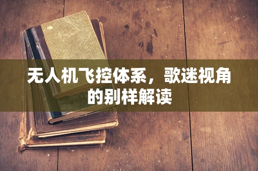 无人机飞控体系，歌迷视角的别样解读