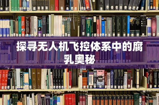 探寻无人机飞控体系中的腐乳奥秘
