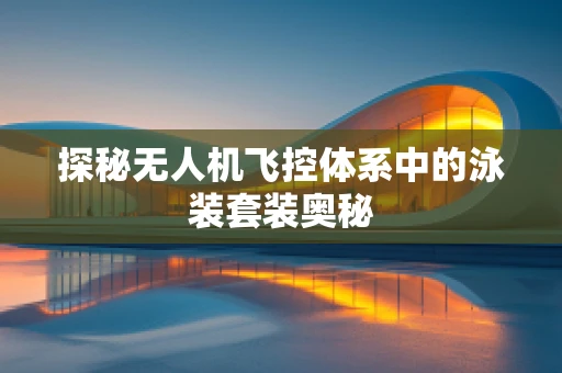 探秘无人机飞控体系中的泳装套装奥秘