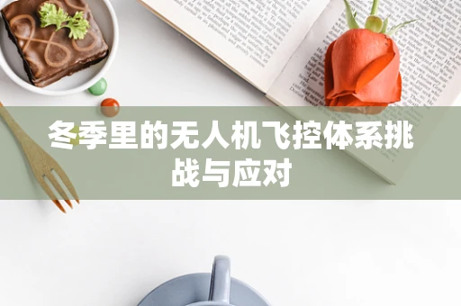 冬季里的无人机飞控体系挑战与应对