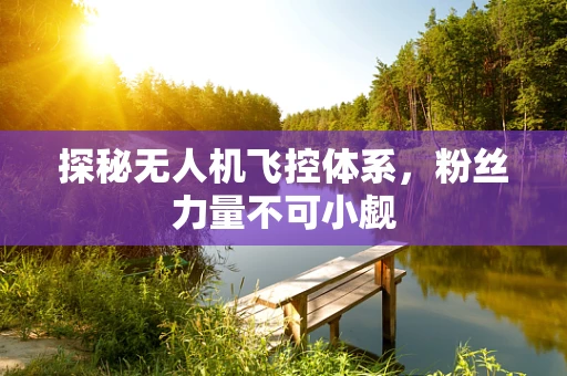 探秘无人机飞控体系，粉丝力量不可小觑