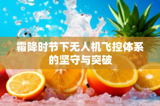 霜降时节下无人机飞控体系的坚守与突破