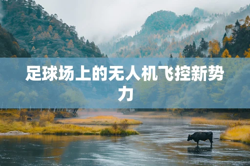 足球场上的无人机飞控新势力
