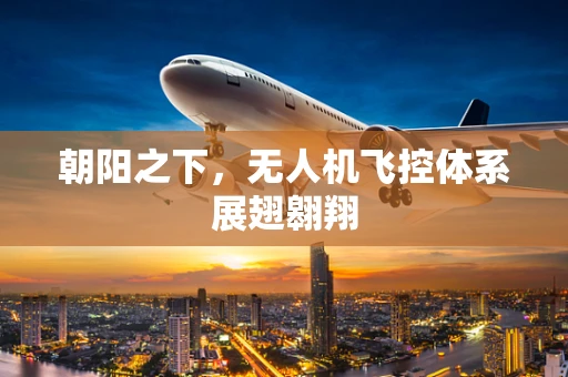 朝阳之下，无人机飞控体系展翅翱翔