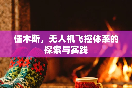 佳木斯，无人机飞控体系的探索与实践