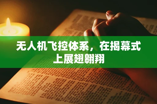 无人机飞控体系，在揭幕式上展翅翱翔