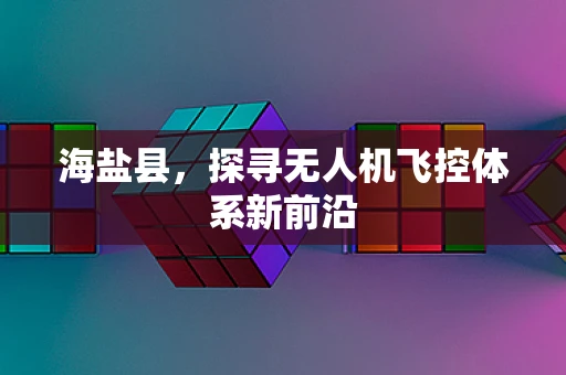 海盐县，探寻无人机飞控体系新前沿