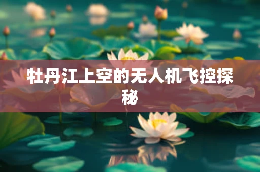 牡丹江上空的无人机飞控探秘