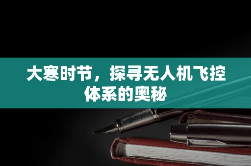 大寒时节，探寻无人机飞控体系的奥秘
