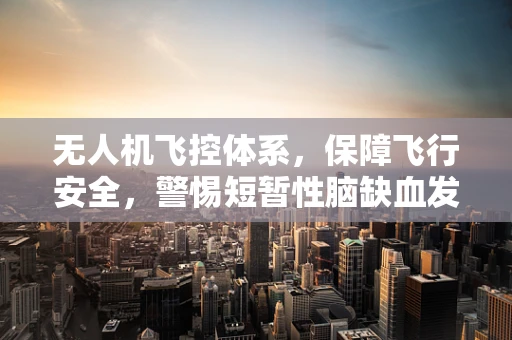 无人机飞控体系，保障飞行安全，警惕短暂性脑缺血发作隐患