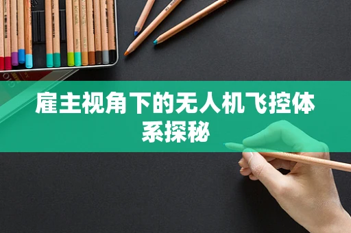 雇主视角下的无人机飞控体系探秘